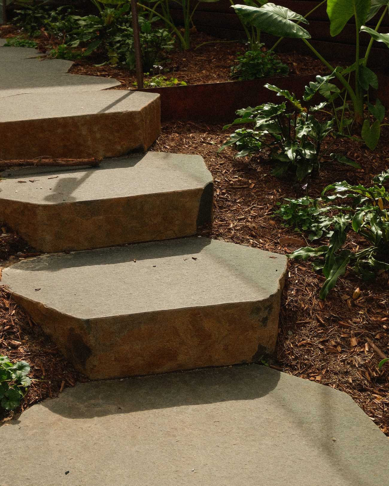 Bluestone steps stitched through dense planting