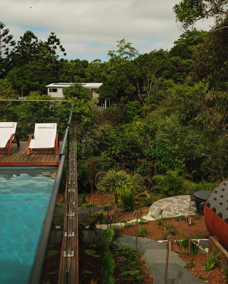 A pool, deck and terraced garden built from scratch
