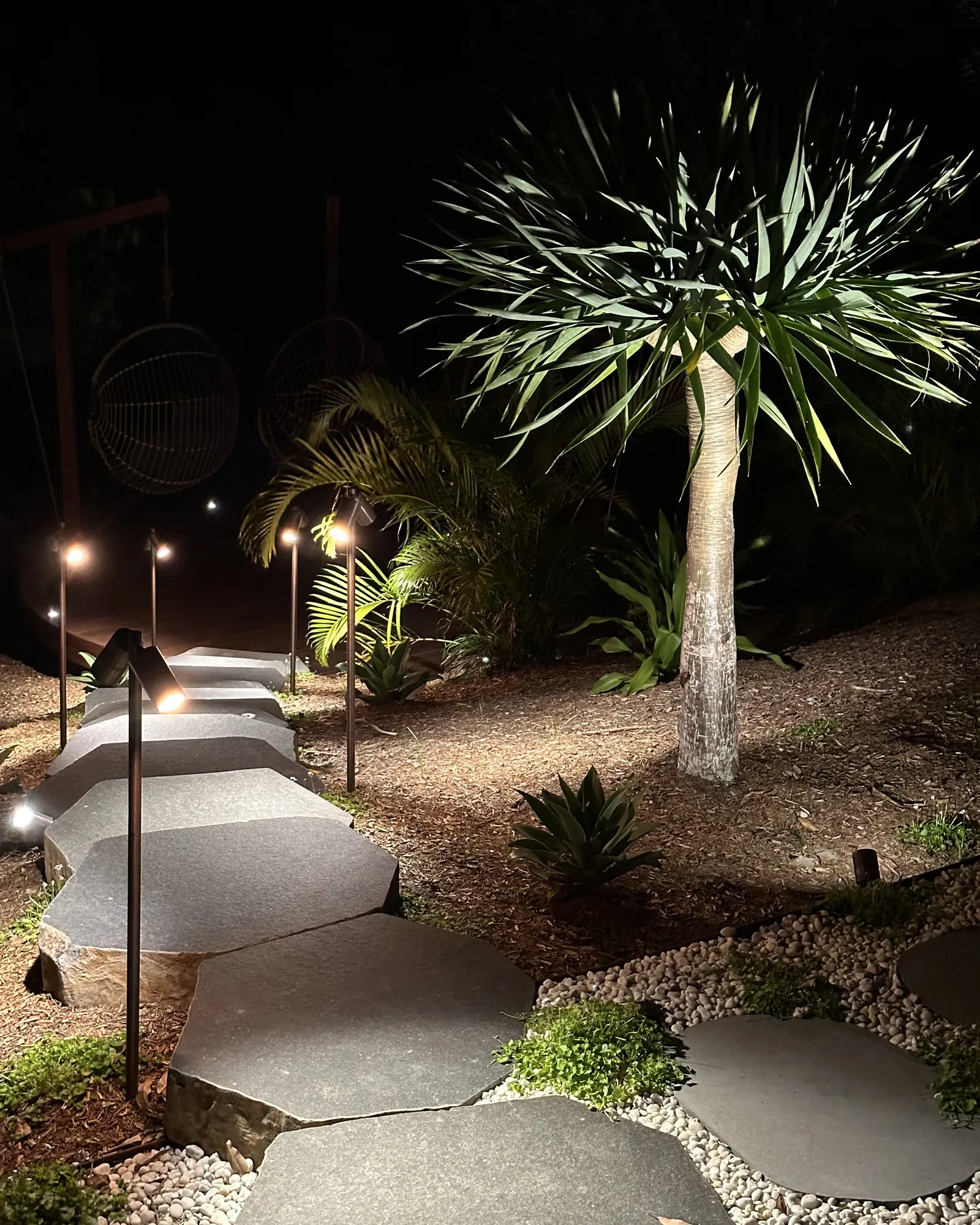 Bollard lights and an uplit palm over stepping stones at night