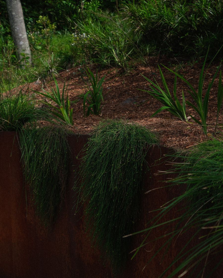 A corten steel retaining wall planted above and below