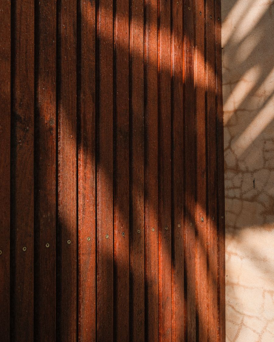 A battened hardwood screen in afternoon light